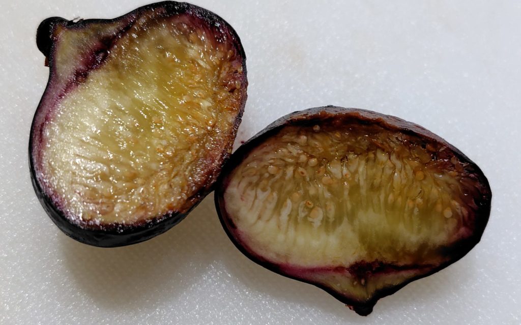 ビオレソリエスの子運障害の実の断面