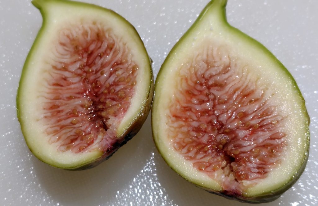 いちじく（グリスビファレ）断面