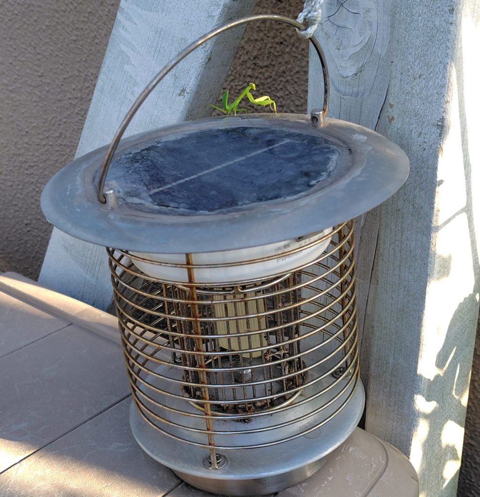 ソーラー殺虫器（電撃殺虫器）