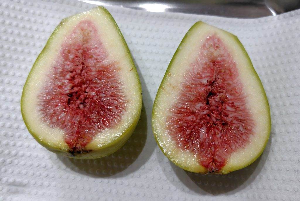 ダルマティを半分に切った状況