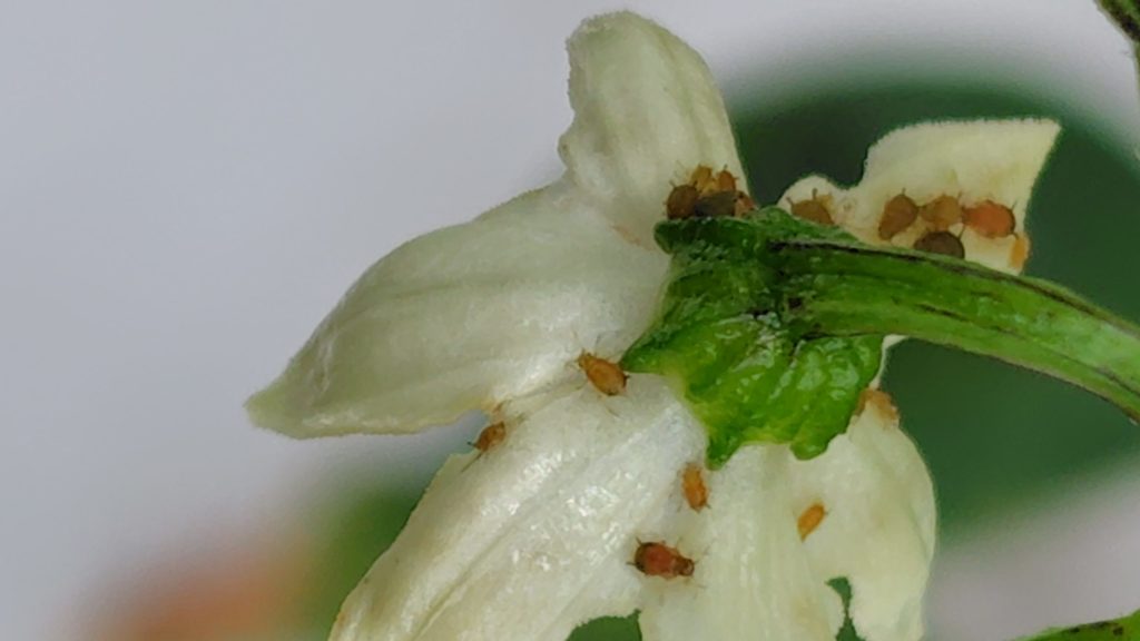 さらに１時間後