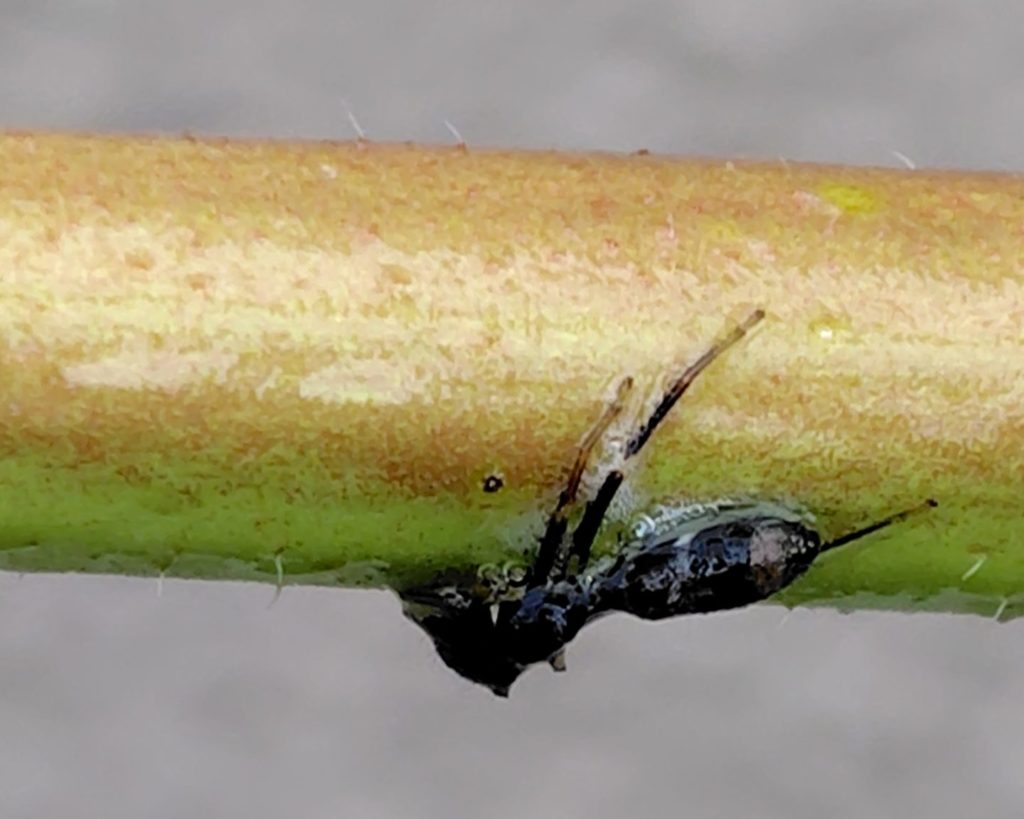 ２０秒後の様子