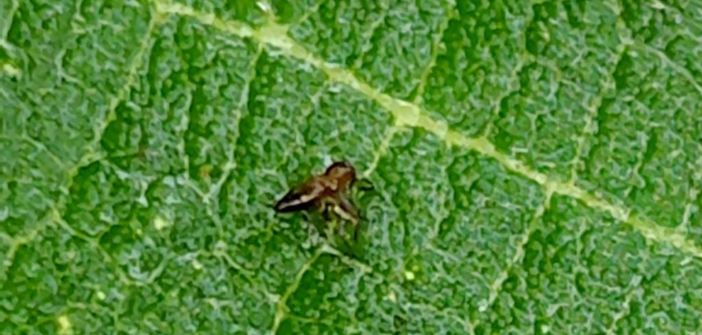 動かなくったあり