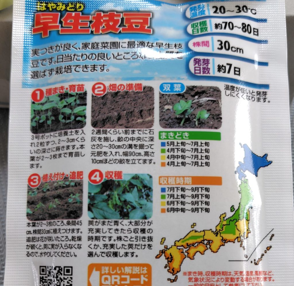 枝豆の種の説明