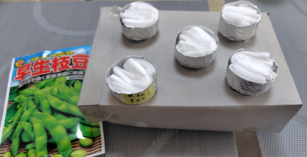 枝豆の水耕栽培