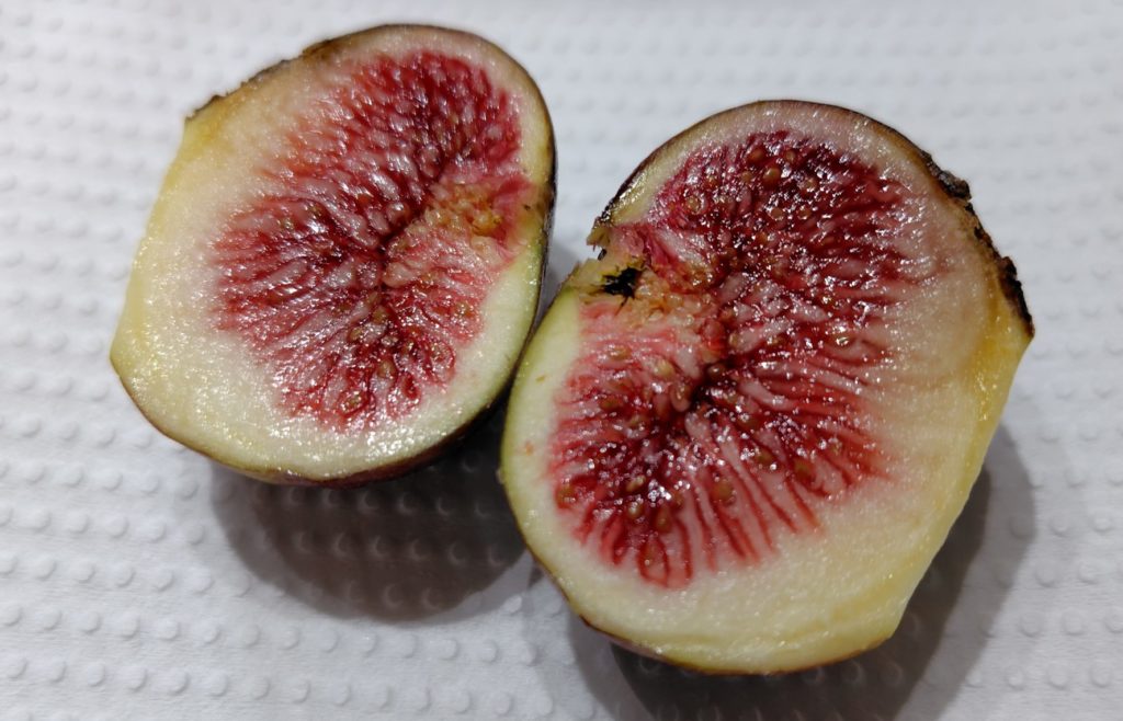 ロードスの実を半分に切ったところ