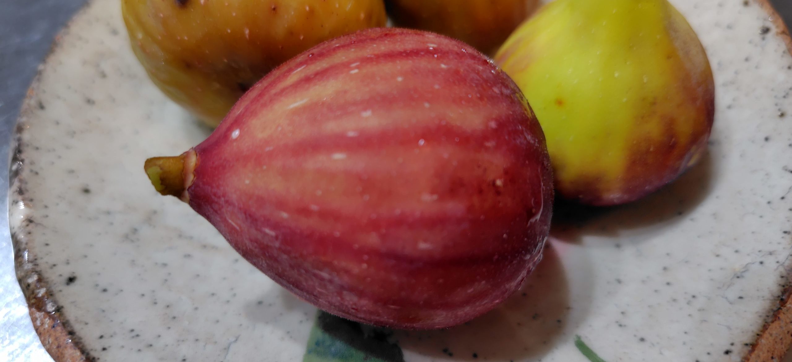 ドーフィンと他のいちじく