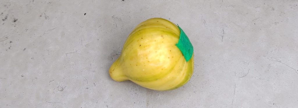 落果したゼブラスイート