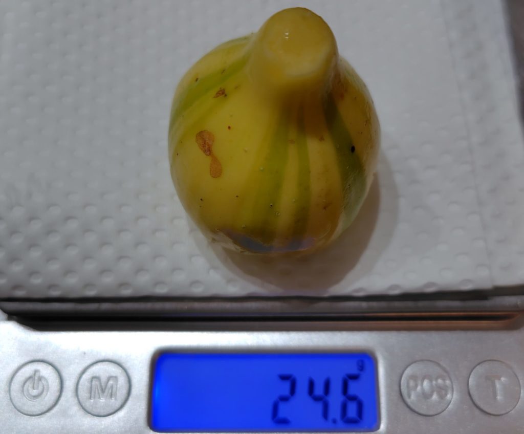 ゼブラスイート計測