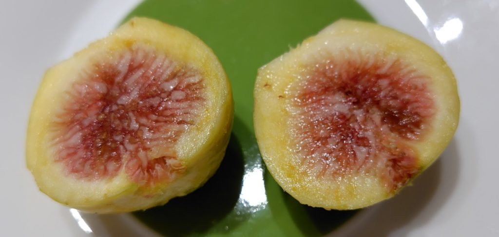 ゼブラスイートの断面