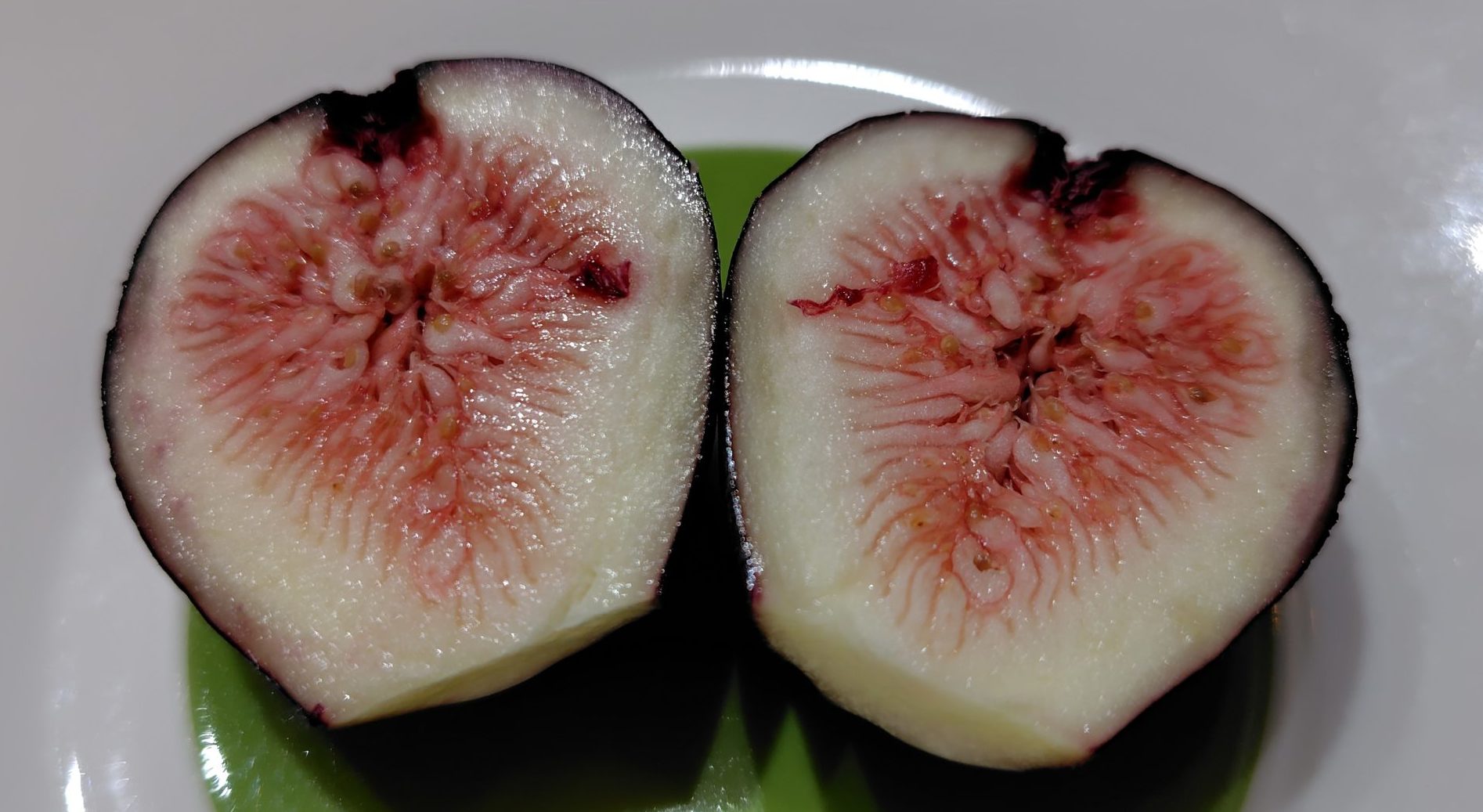 アーチペルの実の果肉