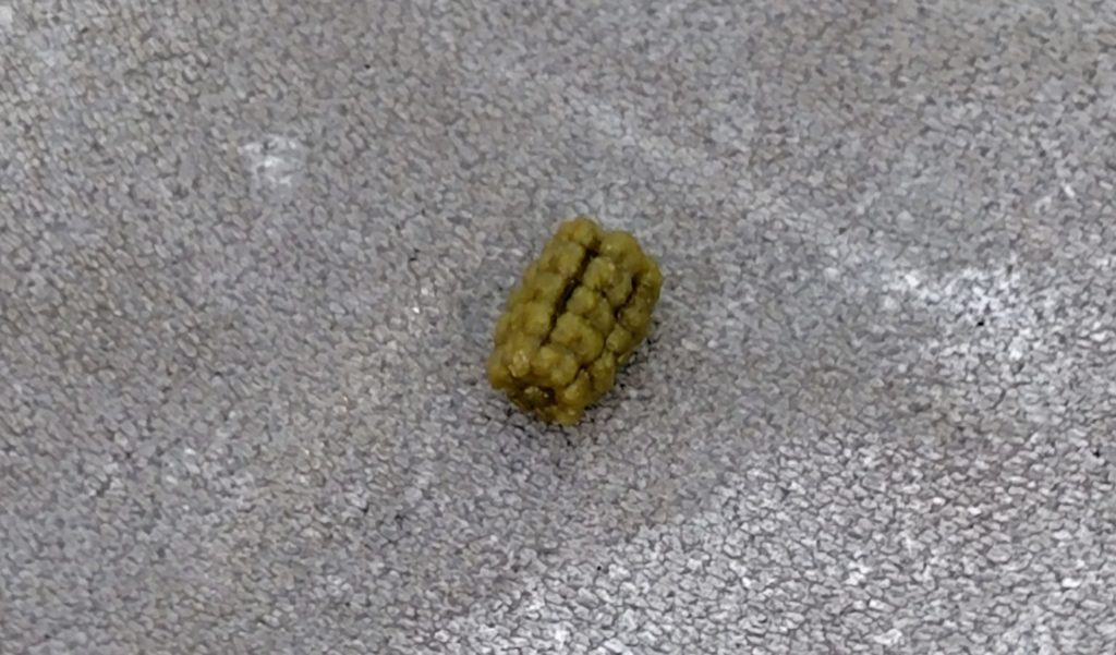 しもふりすすめの糞