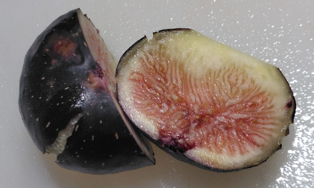 ヌアール・ド・Kの実の中