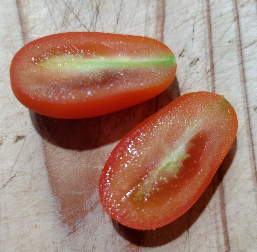 ミニトマト（フラガールオランジェ）の縦切り