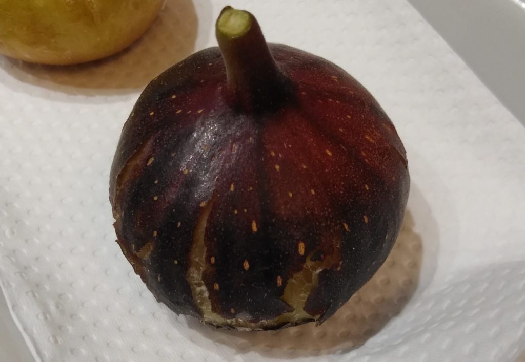 裂果しているヌアール・ド・K