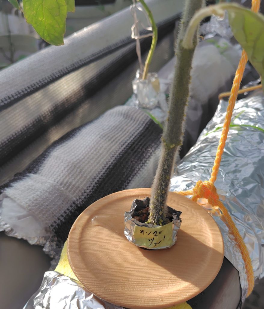 サンマルツァーノ