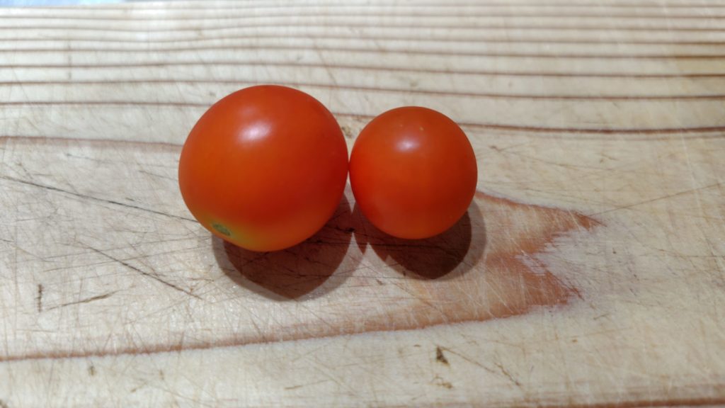 ミニトマト（レッドチェリー）