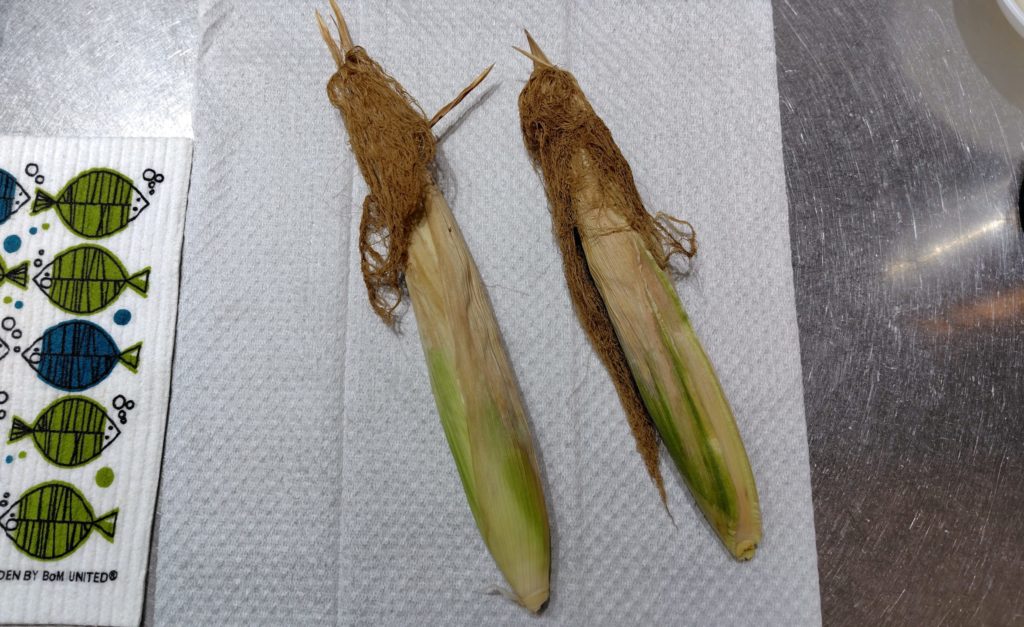 白とうもろこし