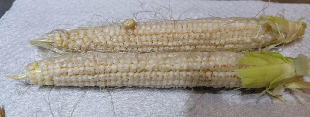 白とうもろこし