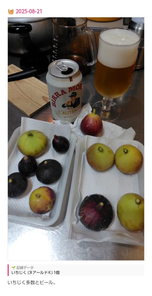 イチジクの収穫記録