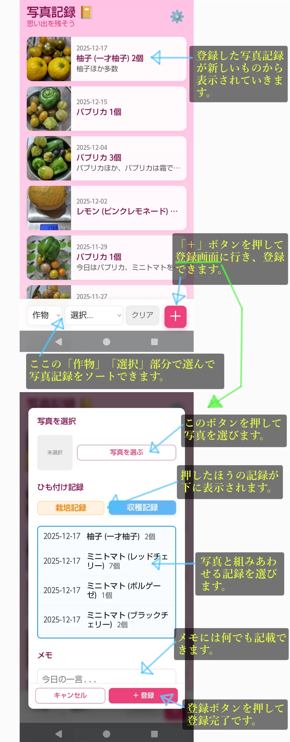 栽培と収穫note 写真記録
