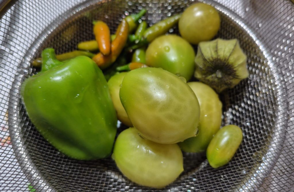 真冬の水耕栽培の収穫