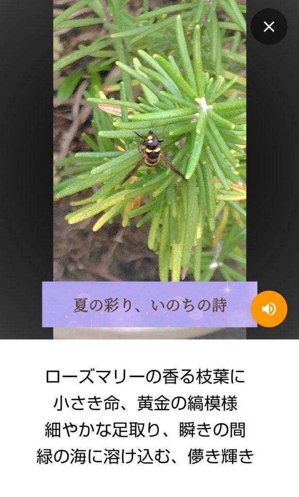 ストーリーMaker