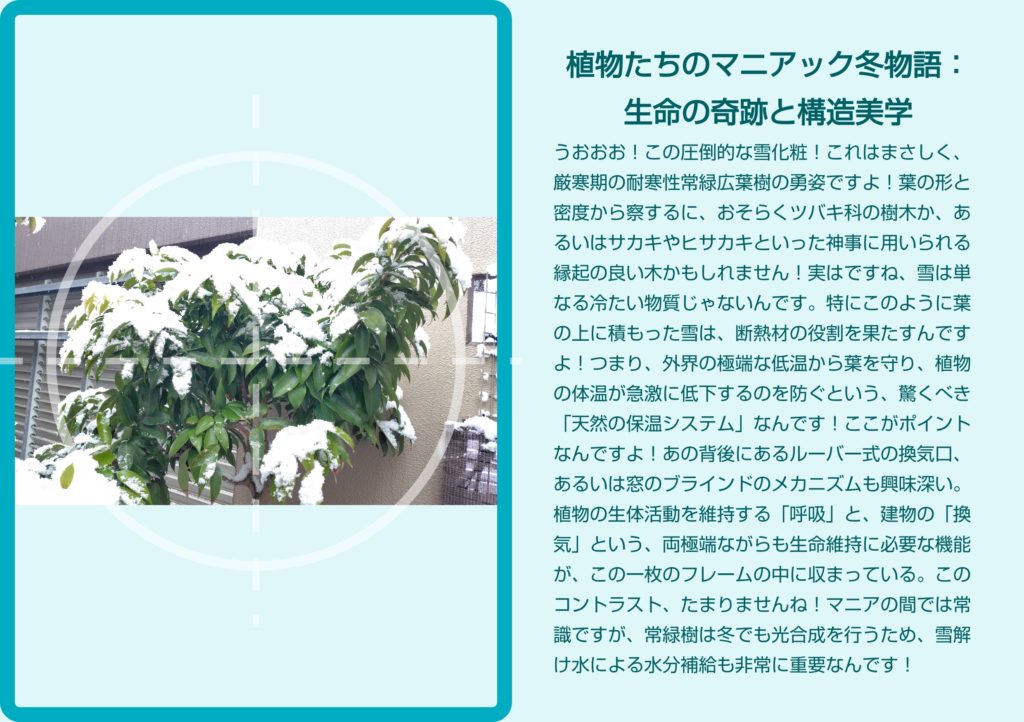 アンドロイド無料アプリ「ストーリーMaker」で俳句やポエムを作った