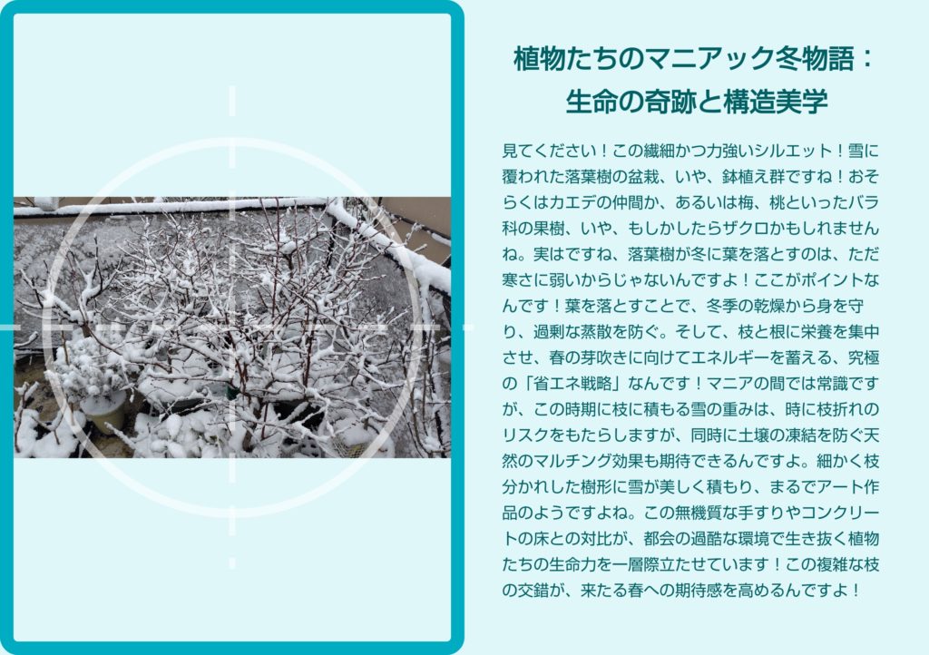 アンドロイド無料アプリ「ストーリーMaker」で俳句やポエムを作った
