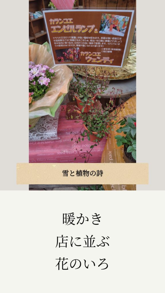 アンドロイド無料アプリ「ストーリーMaker」で俳句やポエムを作った