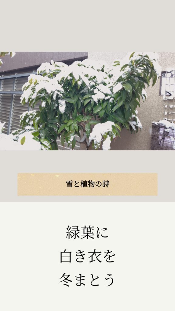 アンドロイド無料アプリ「ストーリーMaker」で俳句やポエムを作った