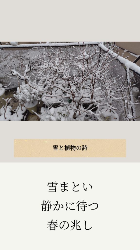 アンドロイド無料アプリ「ストーリーMaker」で俳句やポエムを作った