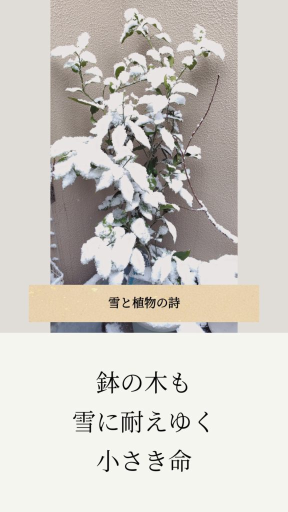 アンドロイド無料アプリ「ストーリーMaker」で俳句やポエムを作った