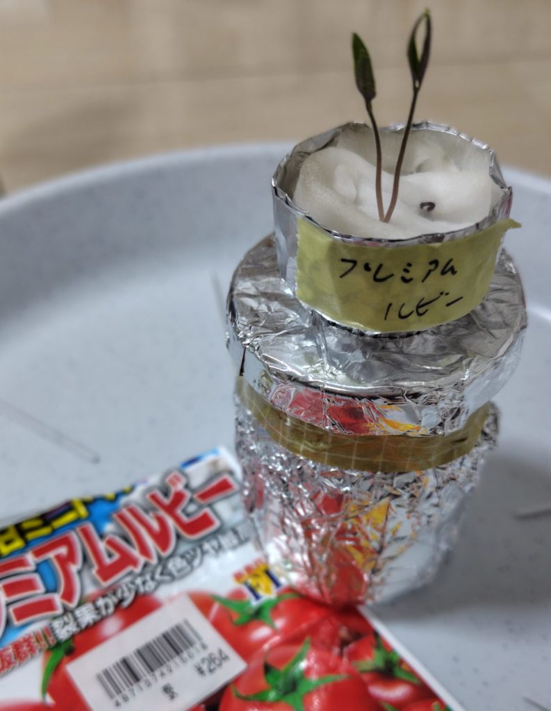 プレミアムルビー