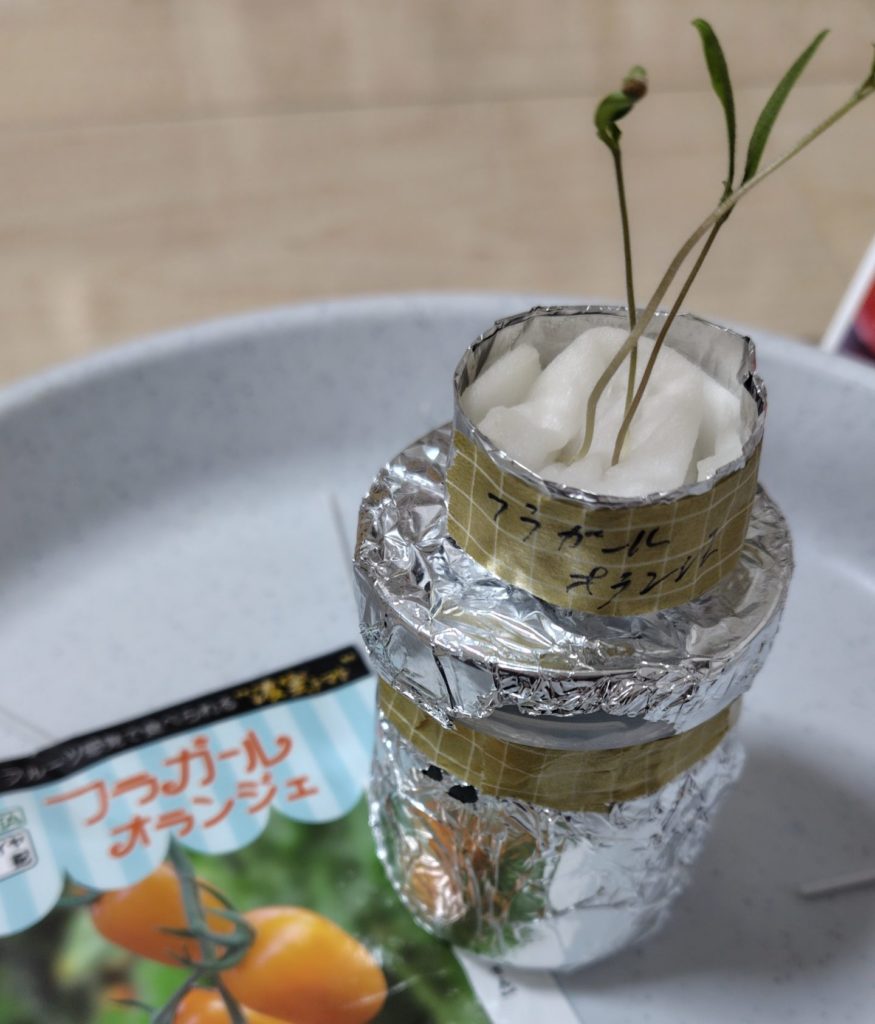 フラガールオランジェ