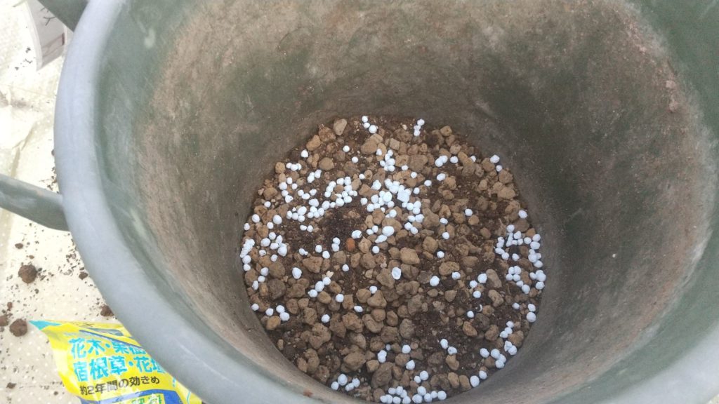 鉢植えの同じ鉢への植え替え