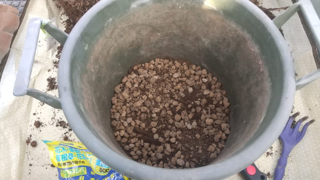 鉢植えの同じ鉢への植え替え